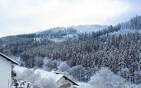 Ferienhaus Waldblick